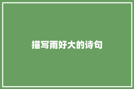 描写雨好大的诗句
