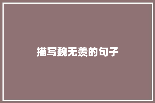 描写魏无羡的句子