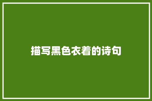 描写黑色衣着的诗句