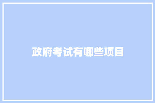 政府考试有哪些项目