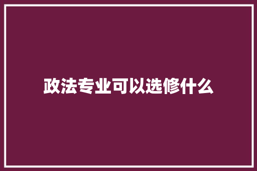 政法专业可以选修什么
