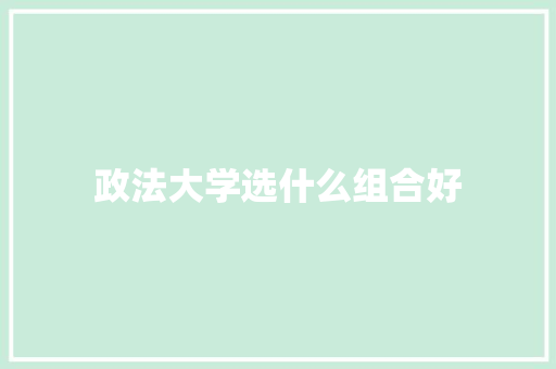 政法大学选什么组合好