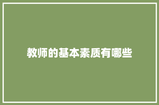 教师的基本素质有哪些