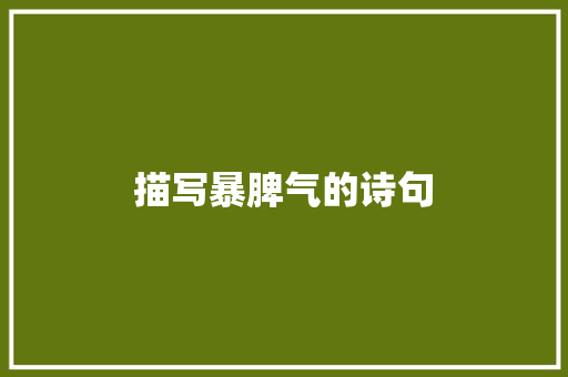描写暴脾气的诗句 说明文范文