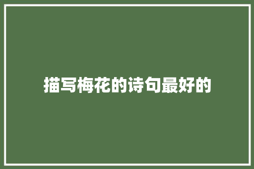 描写梅花的诗句最好的