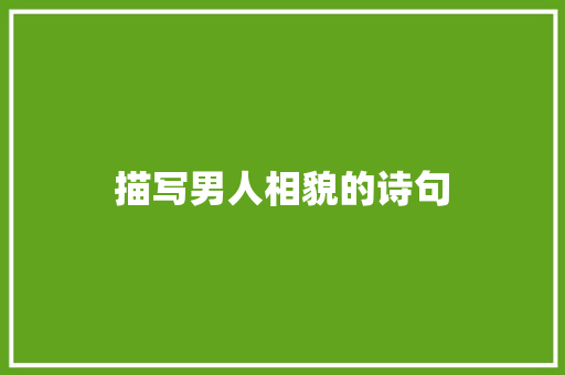 描写男人相貌的诗句