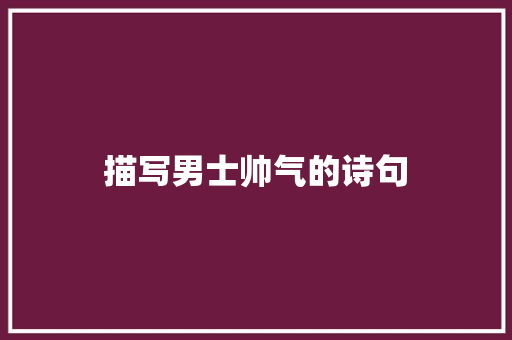 描写男士帅气的诗句