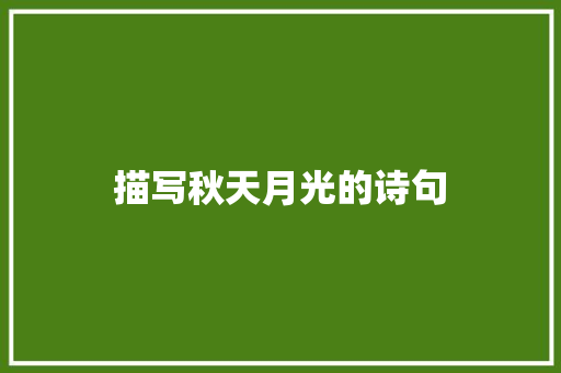 描写秋天月光的诗句