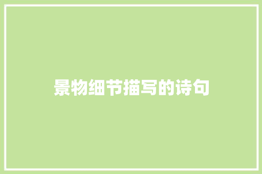 景物细节描写的诗句