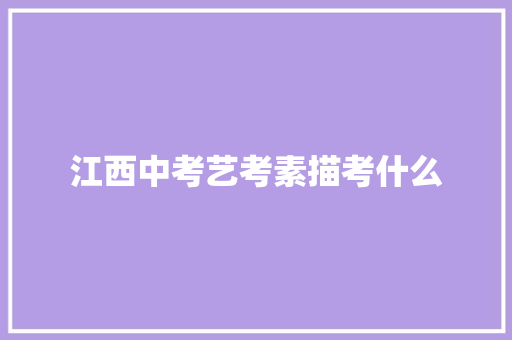江西中考艺考素描考什么
