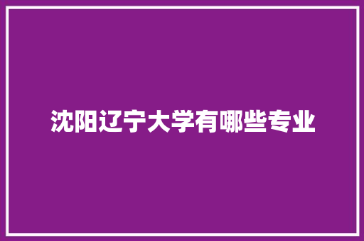 沈阳辽宁大学有哪些专业