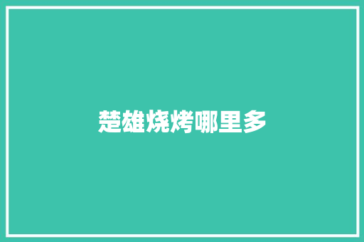 楚雄烧烤哪里多