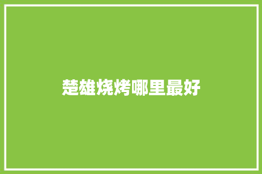 楚雄烧烤哪里最好