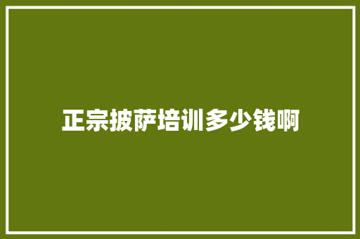 正宗披萨培训多少钱啊