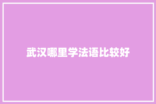 武汉哪里学法语比较好