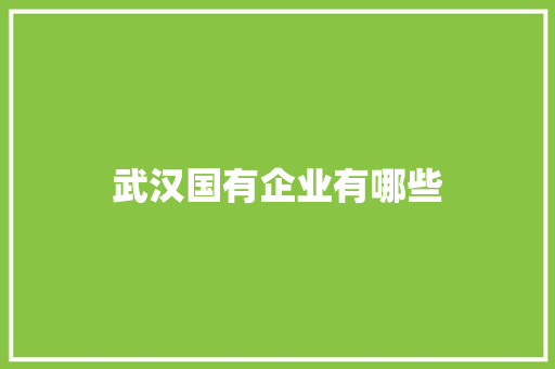 武汉国有企业有哪些