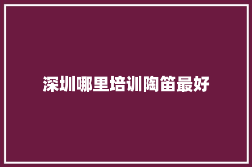 深圳哪里培训陶笛最好