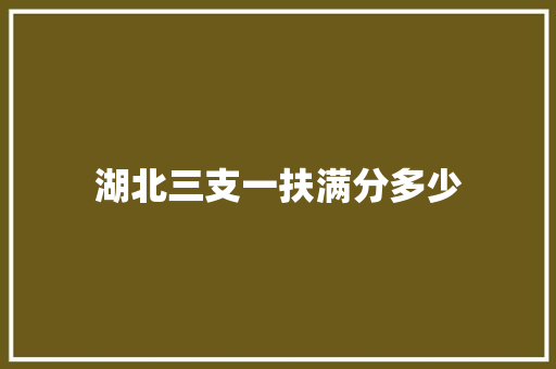 湖北三支一扶满分多少