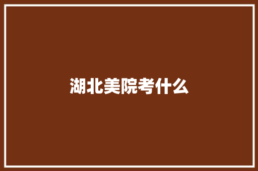 湖北美院考什么