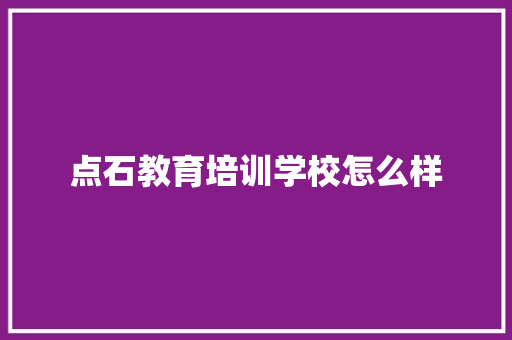 点石教育培训学校怎么样