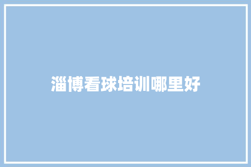 淄博看球培训哪里好 简历范文