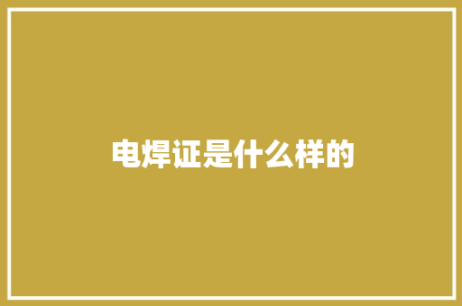 电焊证是什么样的