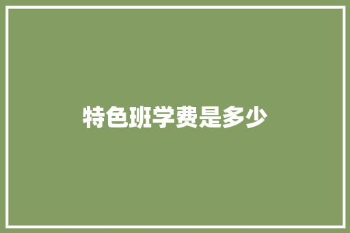 特色班学费是多少