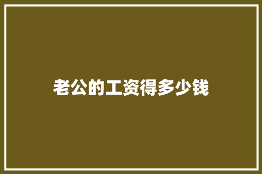 老公的工资得多少钱