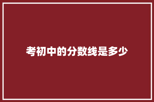 考初中的分数线是多少
