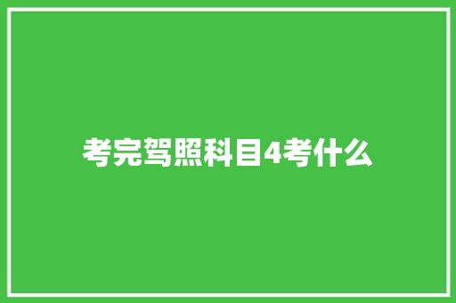 考完驾照科目4考什么