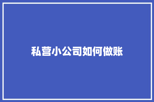 私营小公司如何做账