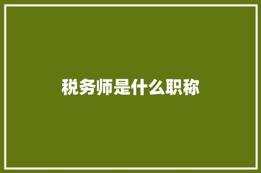 税务师是什么职称