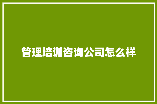 管理培训咨询公司怎么样
