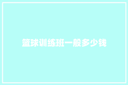 篮球训练班一般多少钱