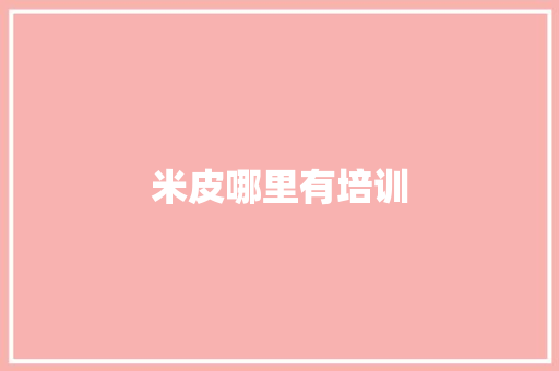 米皮哪里有培训