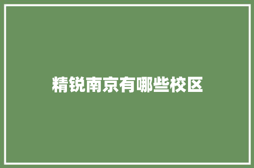 精锐南京有哪些校区
