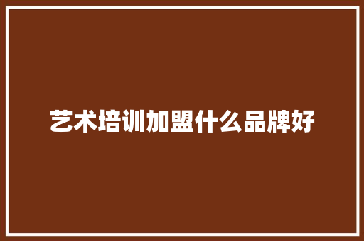 艺术培训加盟什么品牌好