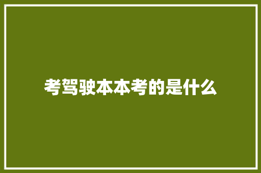 考驾驶本本考的是什么